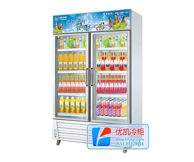 双门直冷玻璃展示柜