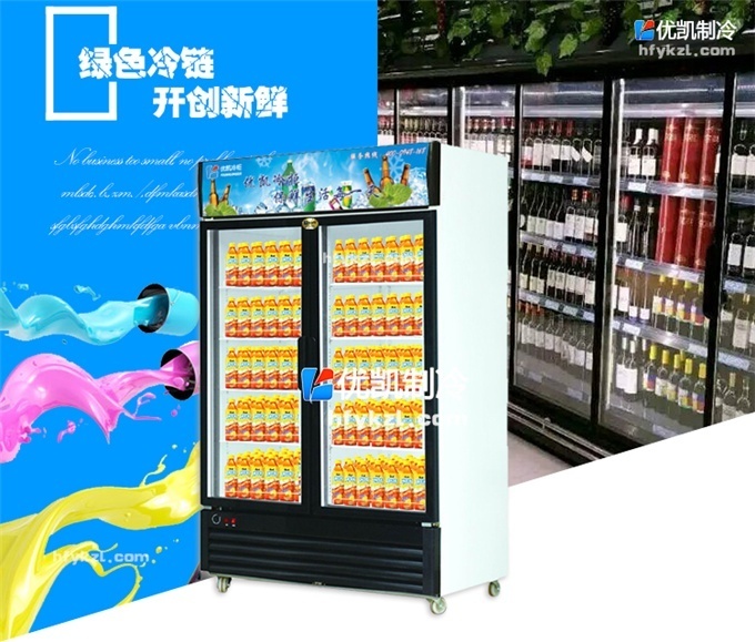 BL-B1双门直冷陈列柜/饮料柜(畅销产品)